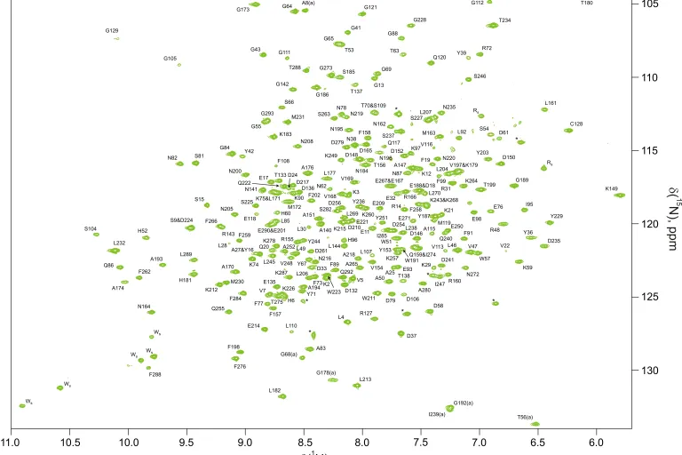 NMR