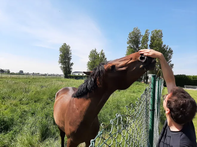 Our horse whisperer @Teambuilding 2022