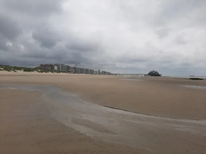 at the beach